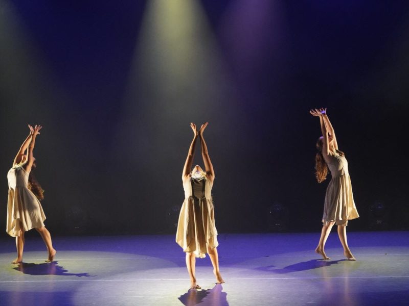 DSC0258702587 Photo by Efrat Mazor_